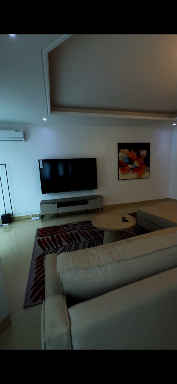Appartement meublé n°1 — Salon TV